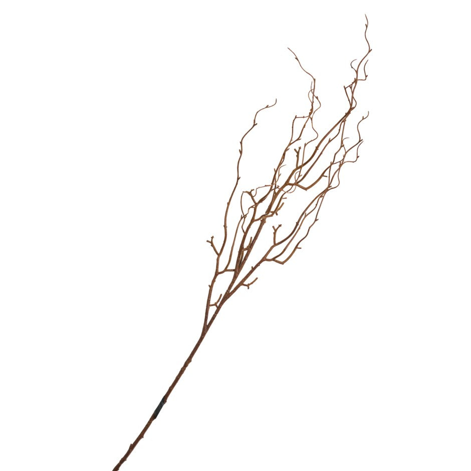 Longue branche brune